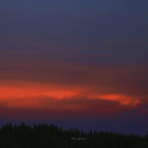 奥大利亚亚性高潮
